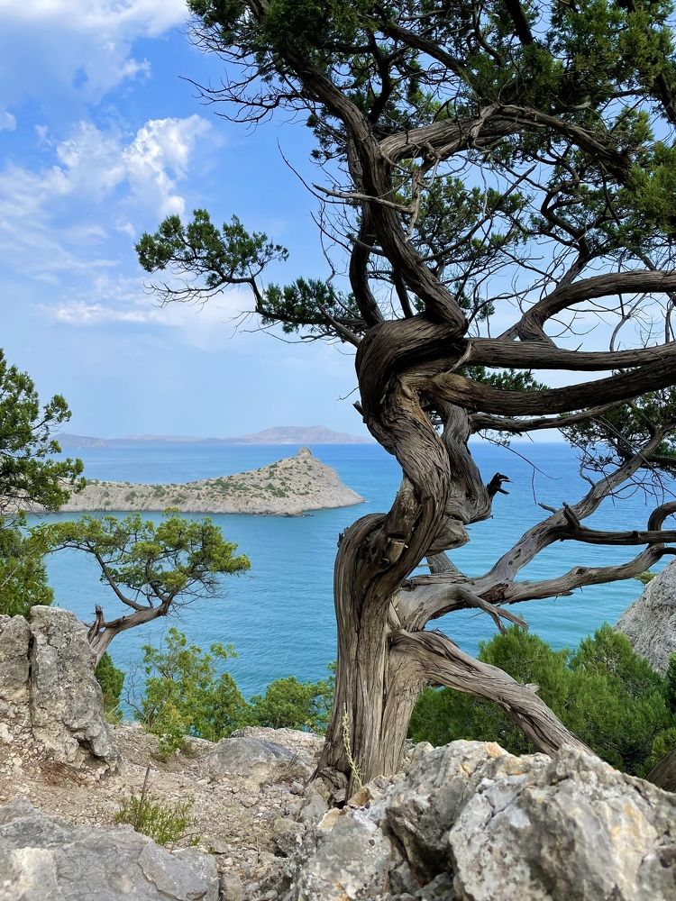 Photograph by Мария Фомина