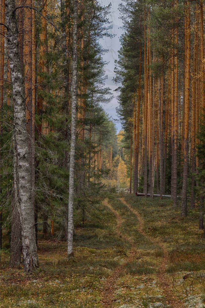 Фотография автора Павел Мартюшев