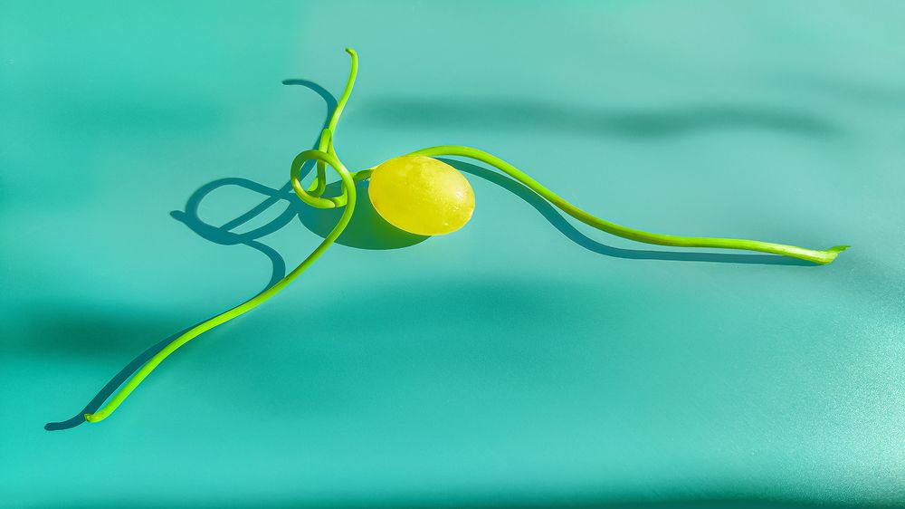 То ли в море, то ль на суше...