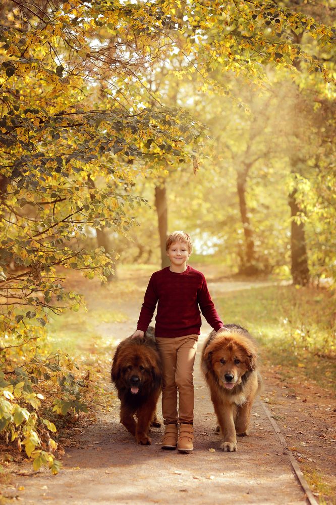 Photograph by Наталья Матвеенко