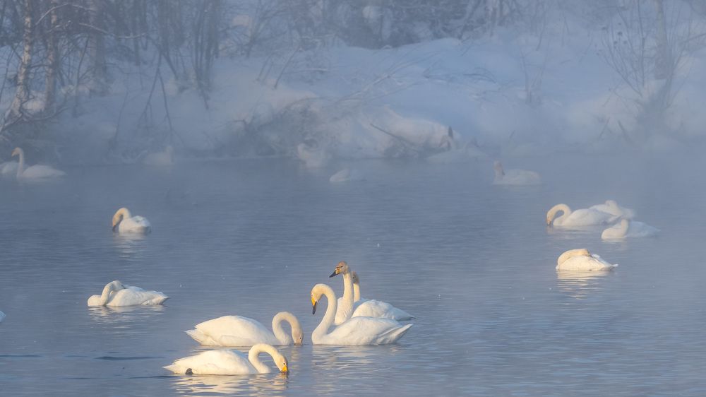 Photograph by Михаил