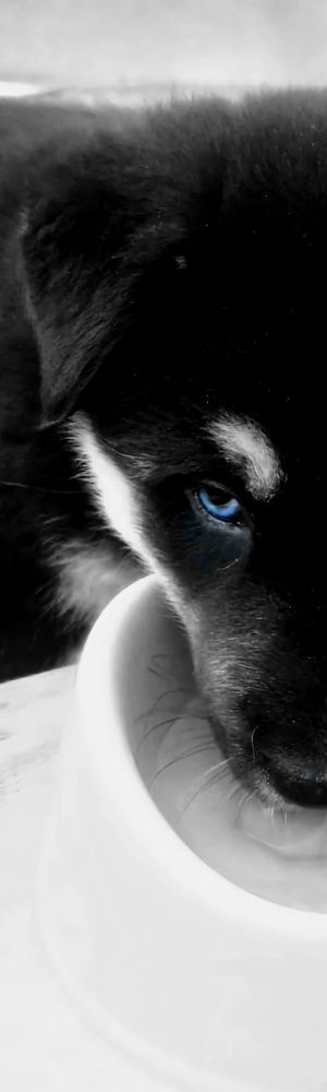 Фотография автора Виталий Петров