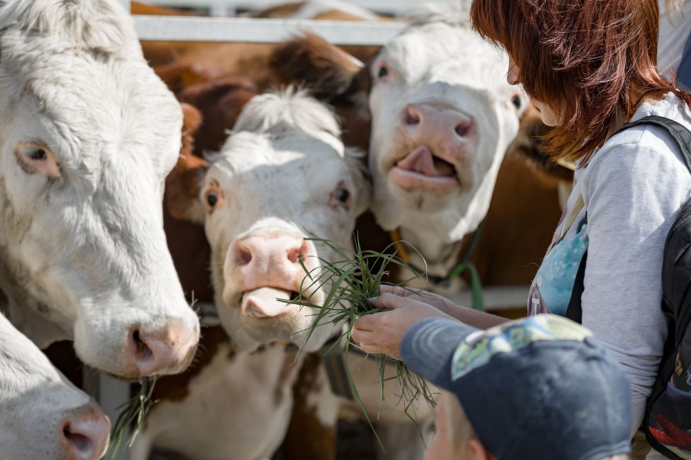 Photograph by Алексей Еремеев