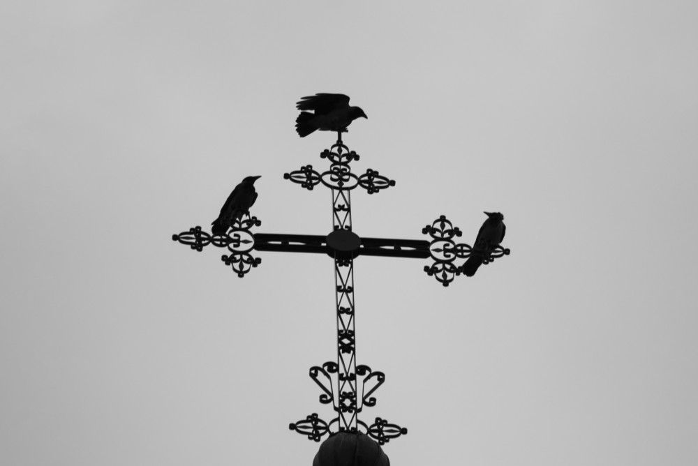 Фотография автора Edīte Ogorodnikova