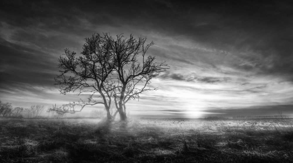 Photograph by Сергей Москалянов