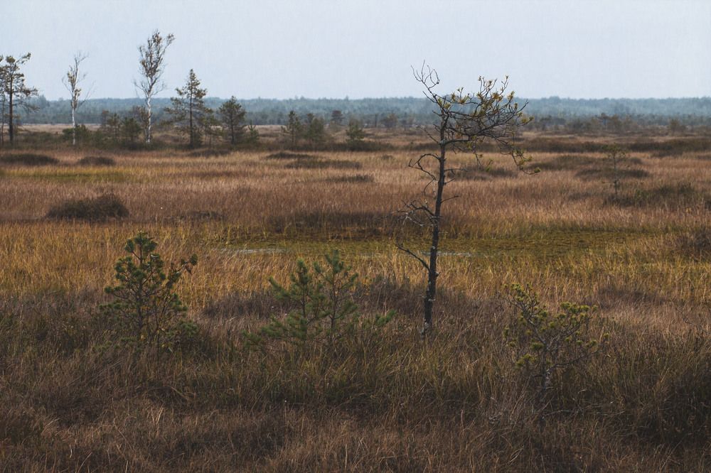 Photograph by Майя Чехова