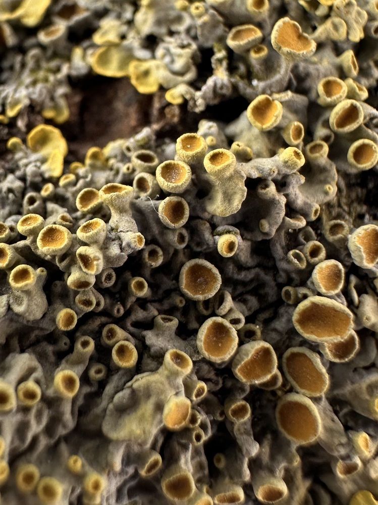 Photograph by Ольга Хентова