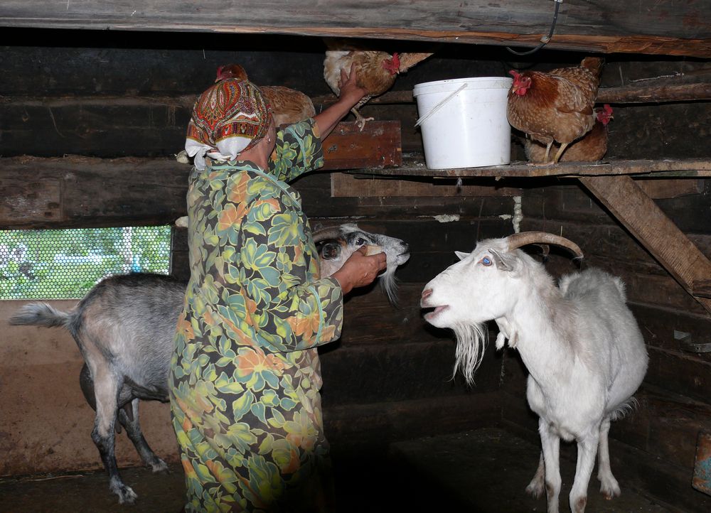 Photograph by Людмила Федорчак