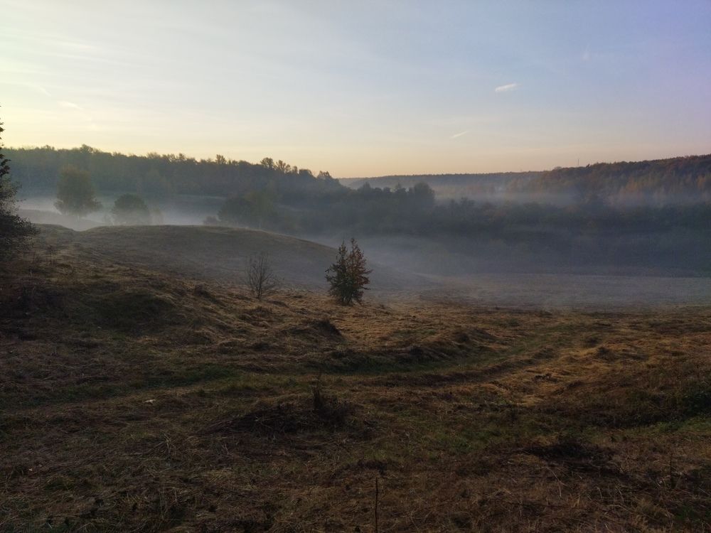 Photo #9622739