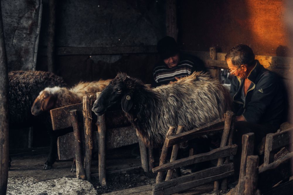 Photograph by Oleg Suhenko