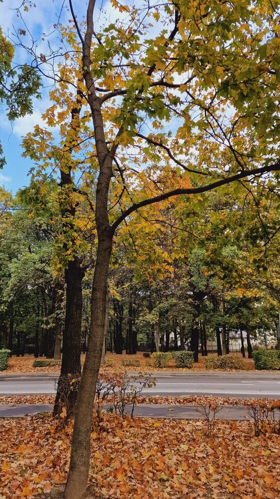 Фотография автора Ольга