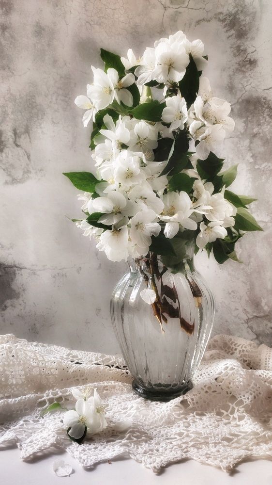 Photograph by Anastasia Malyukova