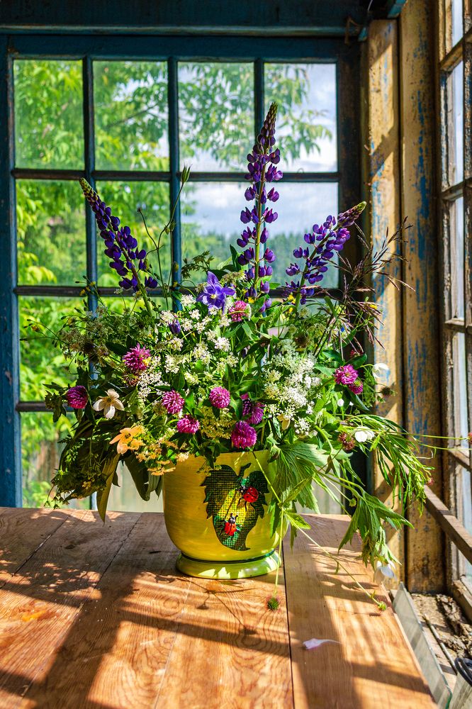 Photograph by Денис Кичев