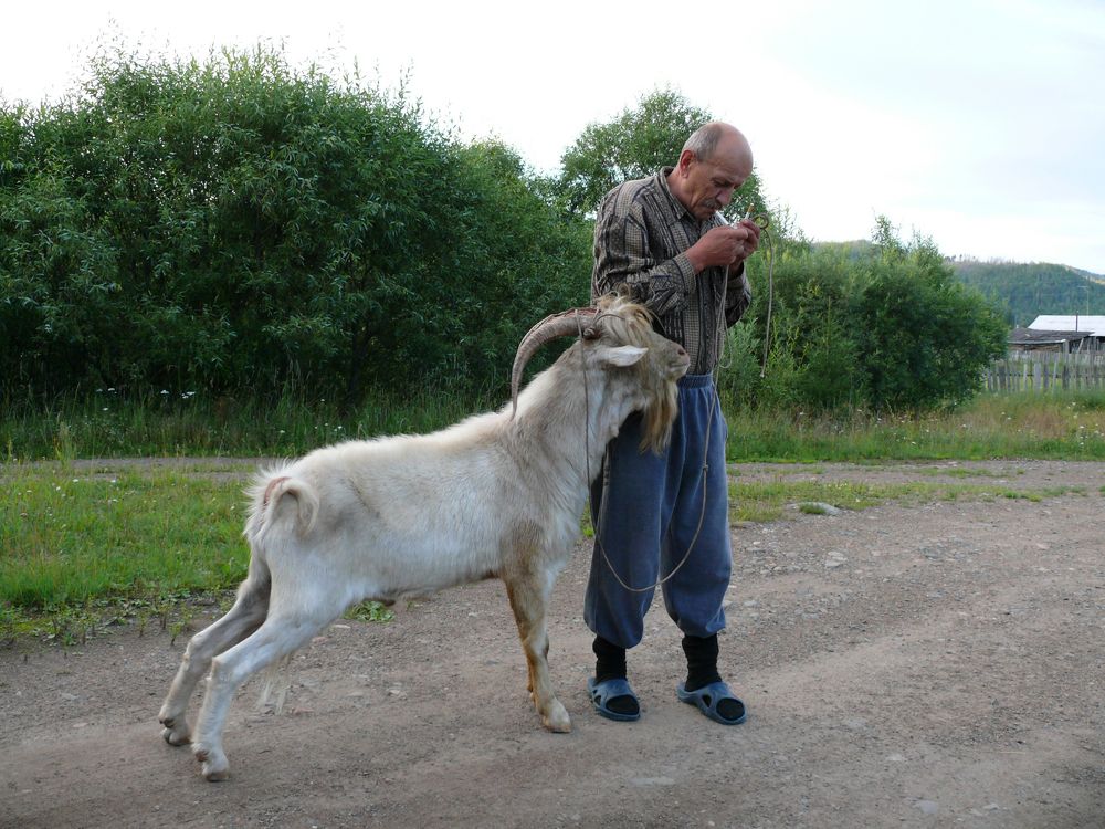 Photograph by Людмила Федорчак