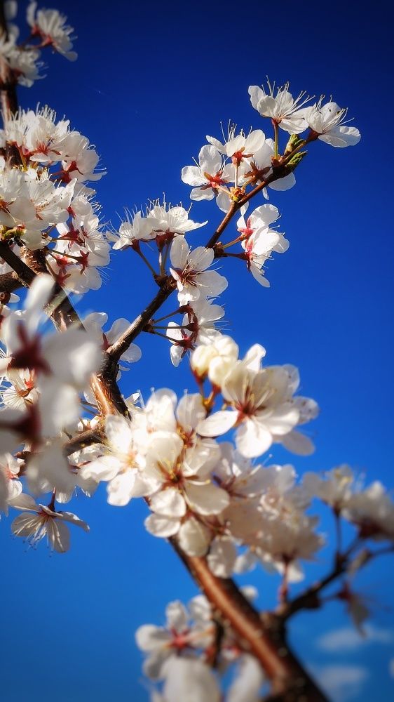 Photograph by Anastasia Malyukova