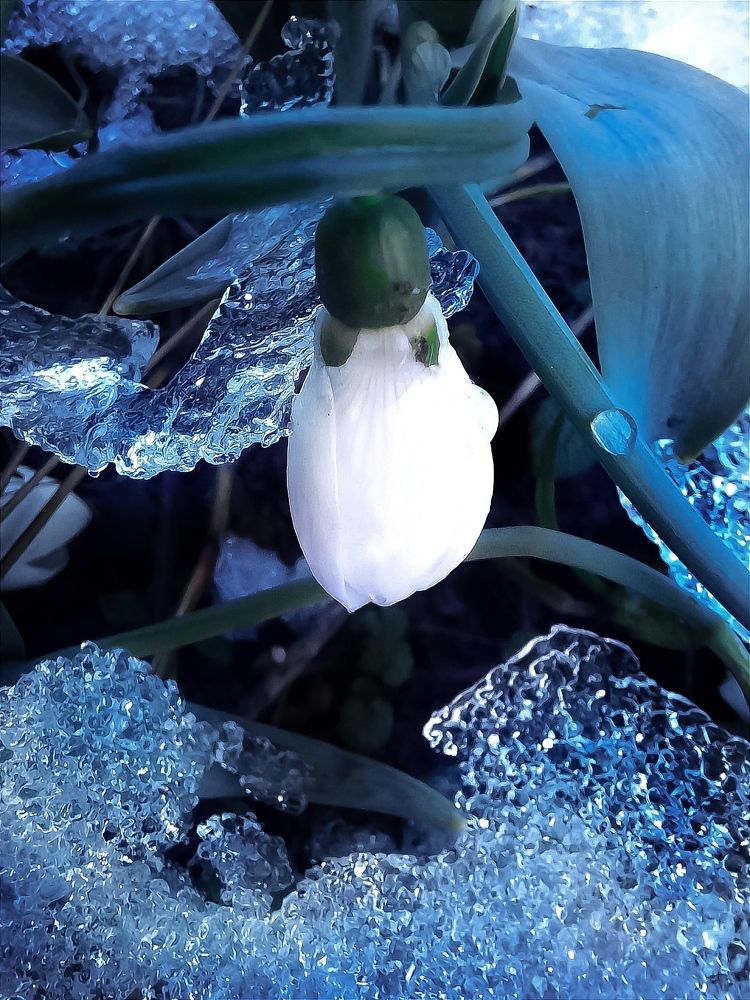 Фотография автора JELENA VASIC