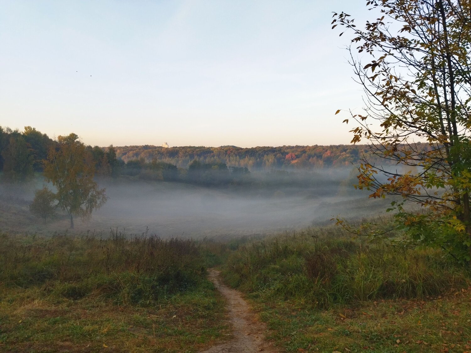 Photo #9622814