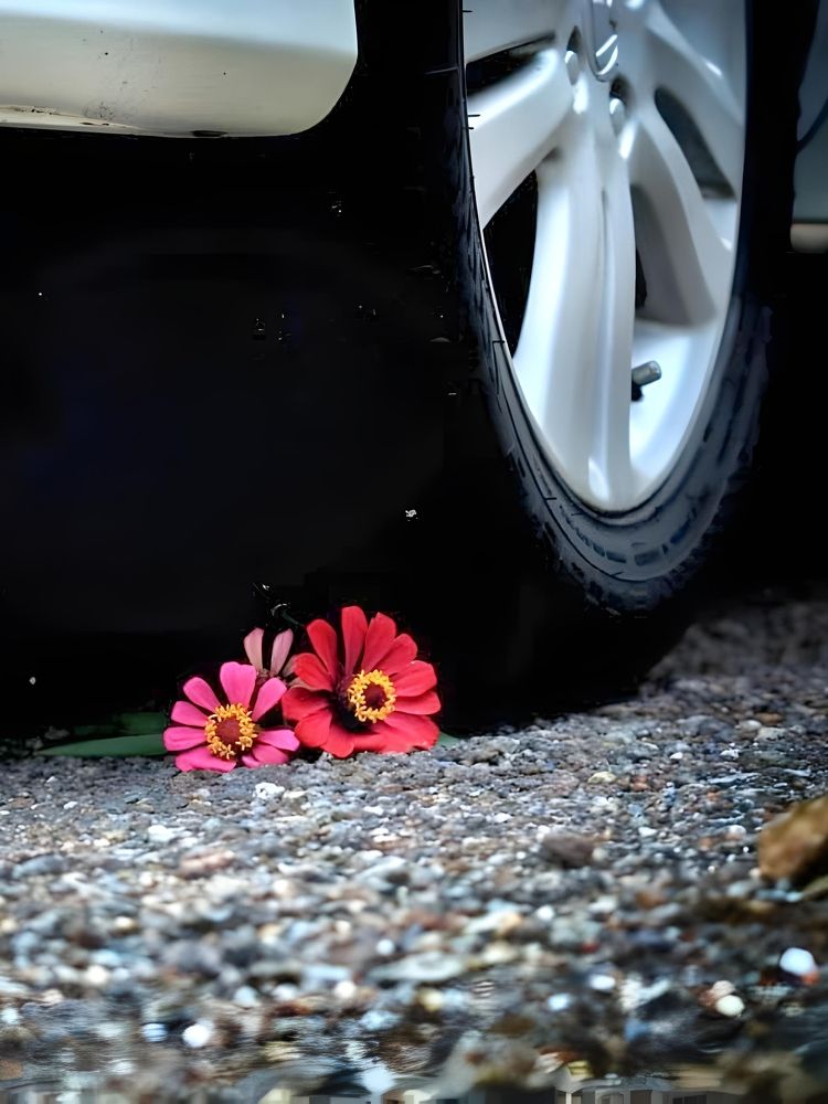 Photograph by Edi Hidayat