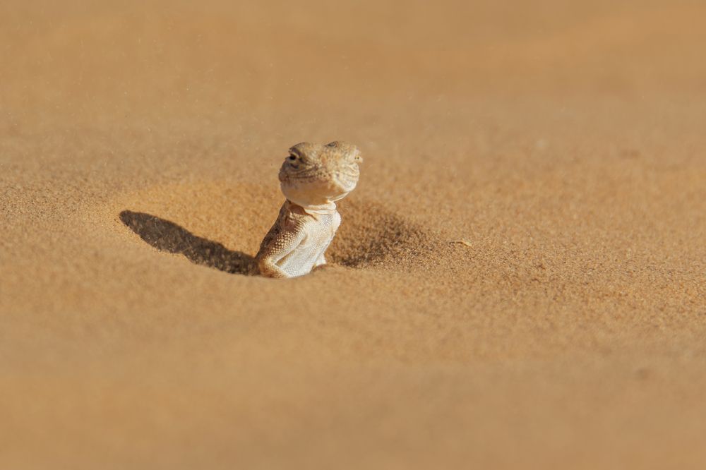 Photograph by Antonio