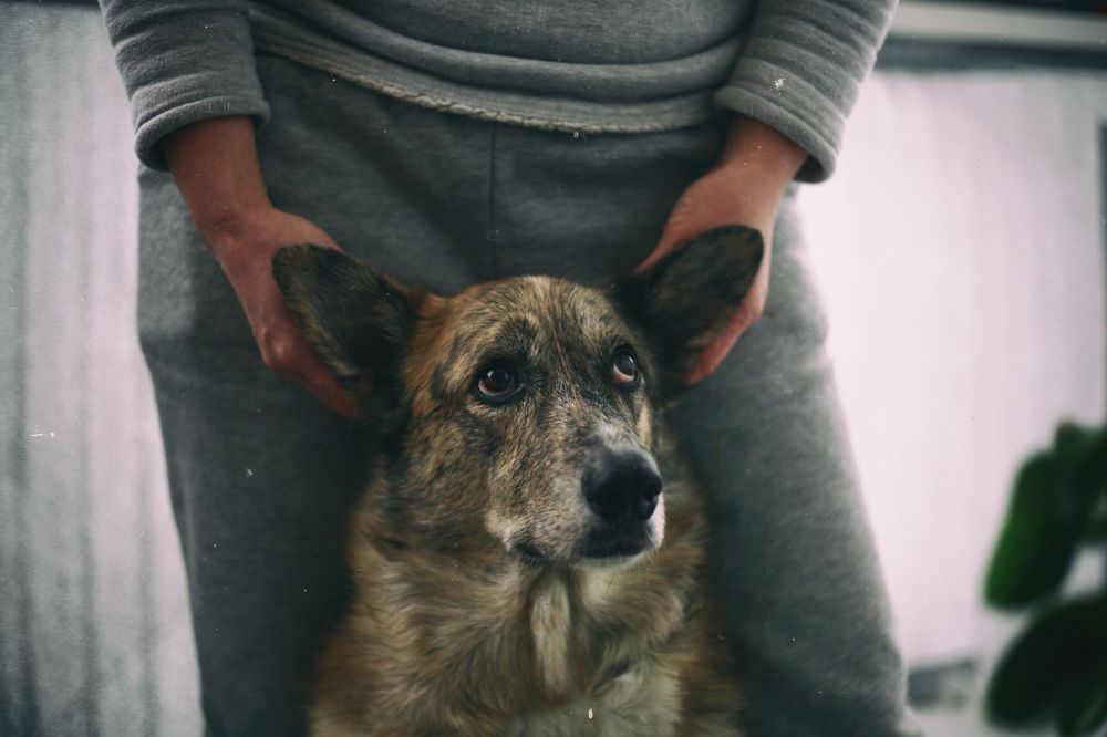 Photograph by Михаил Ногин