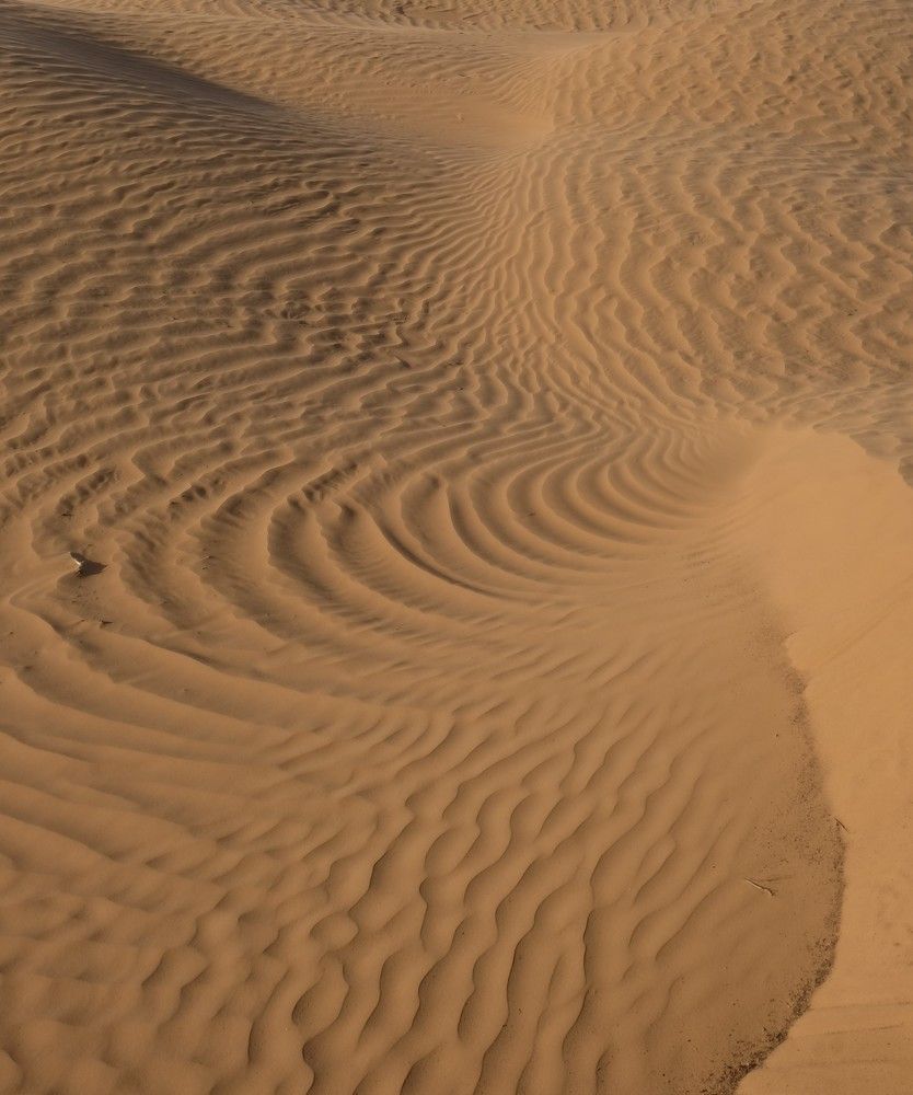 Photograph by Лариса Андреева