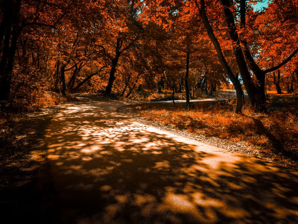 Photograph by CHRIS PAPAKIRITSIS