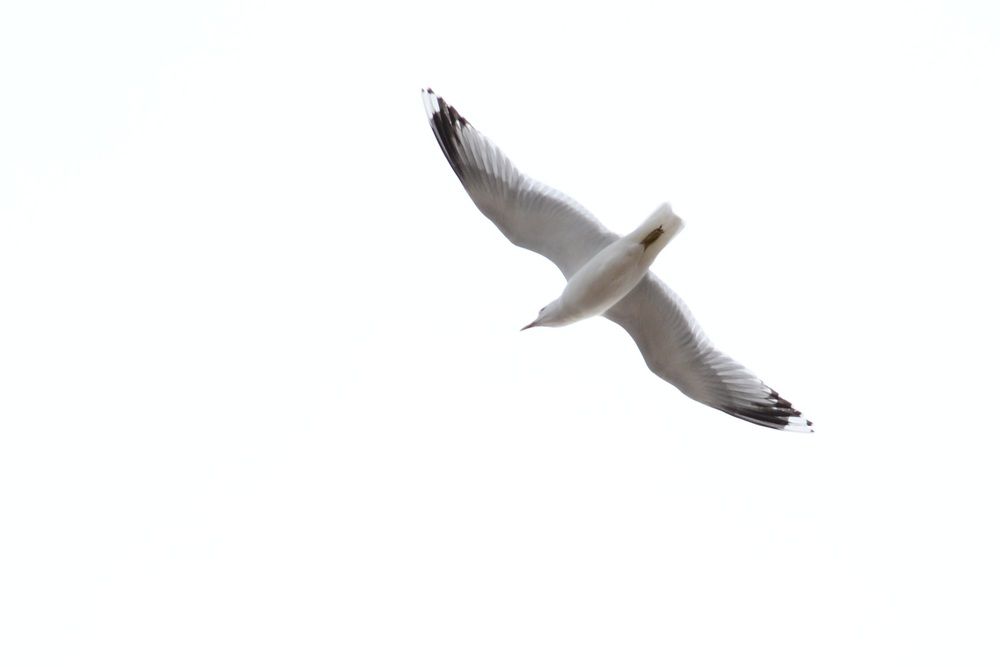 Photograph by Игорь Блинов