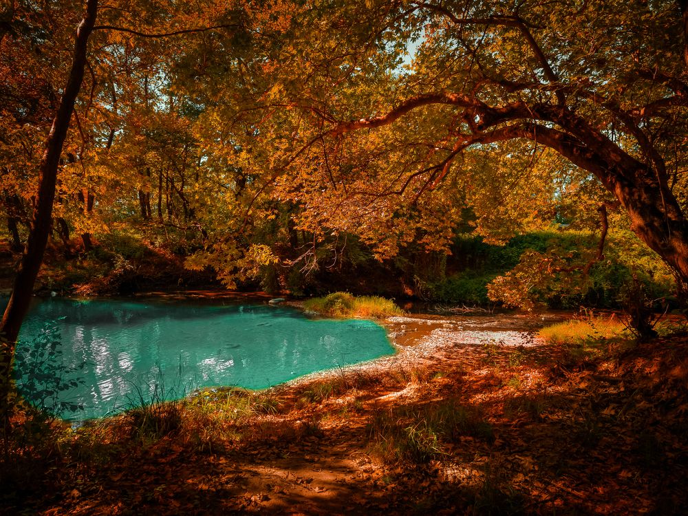 Photograph by CHRIS PAPAKIRITSIS