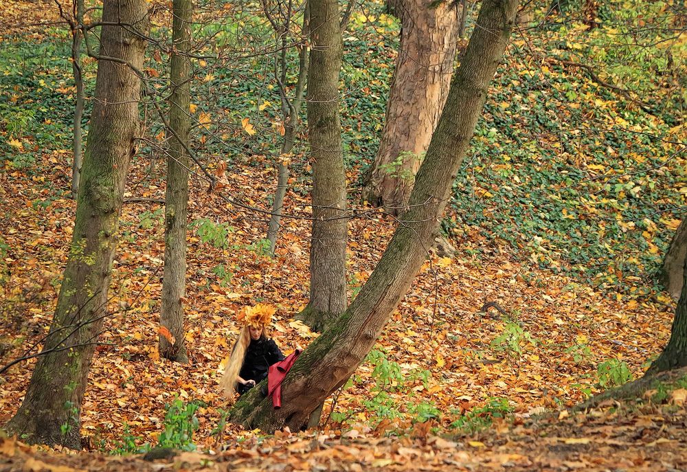 В осеннем парке