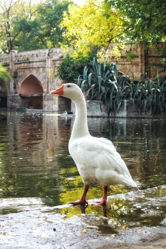 Фотография автора sachin gaurav