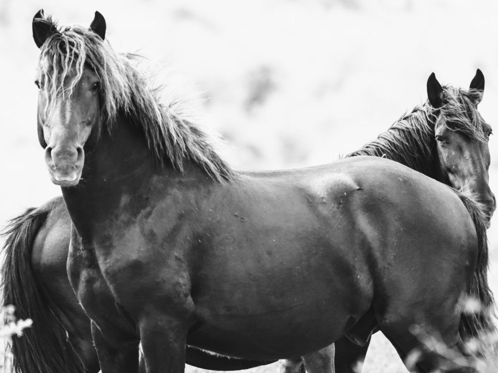 Photograph by Giuseppe Catalano