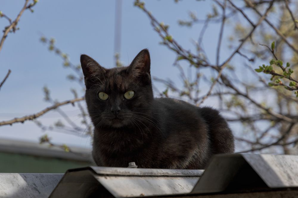 Photograph by Светлана Мельник