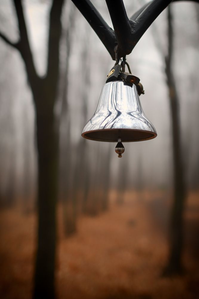 Photograph by Александр Беляков