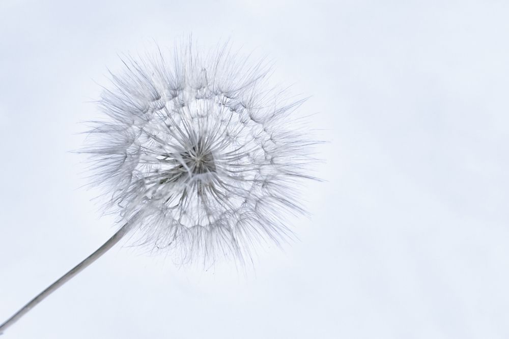 Photograph by Александр Беляков