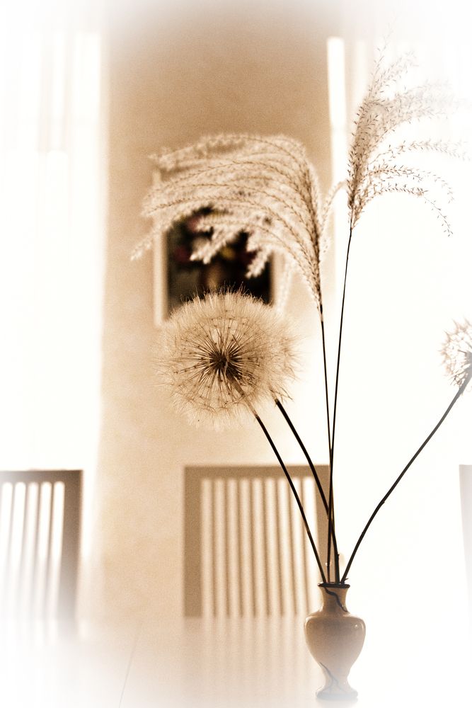 Photograph by Александр Беляков