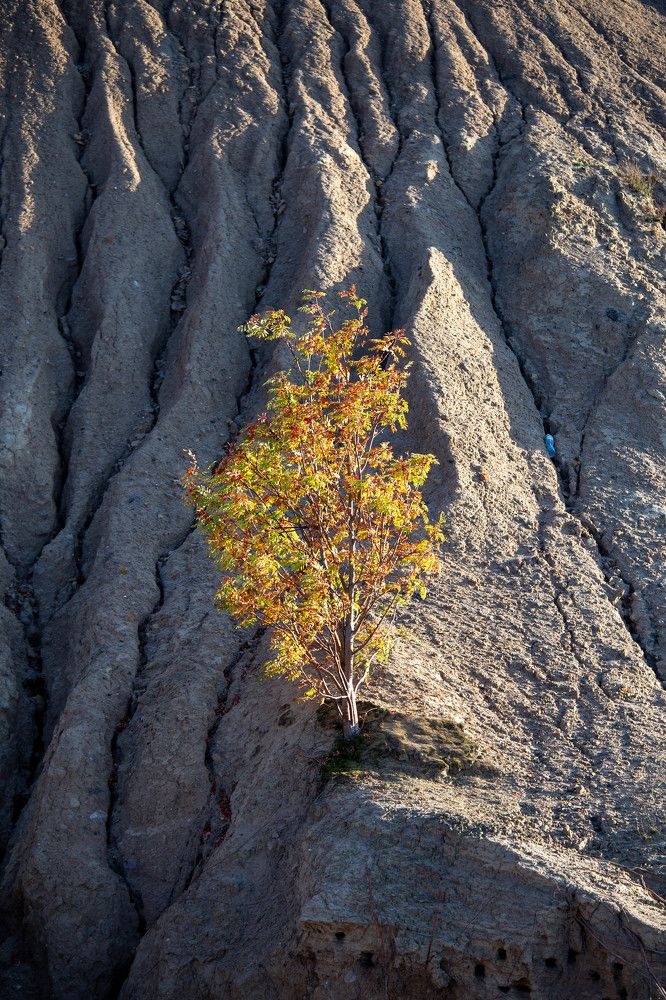 Photograph by Евгения Бочарова