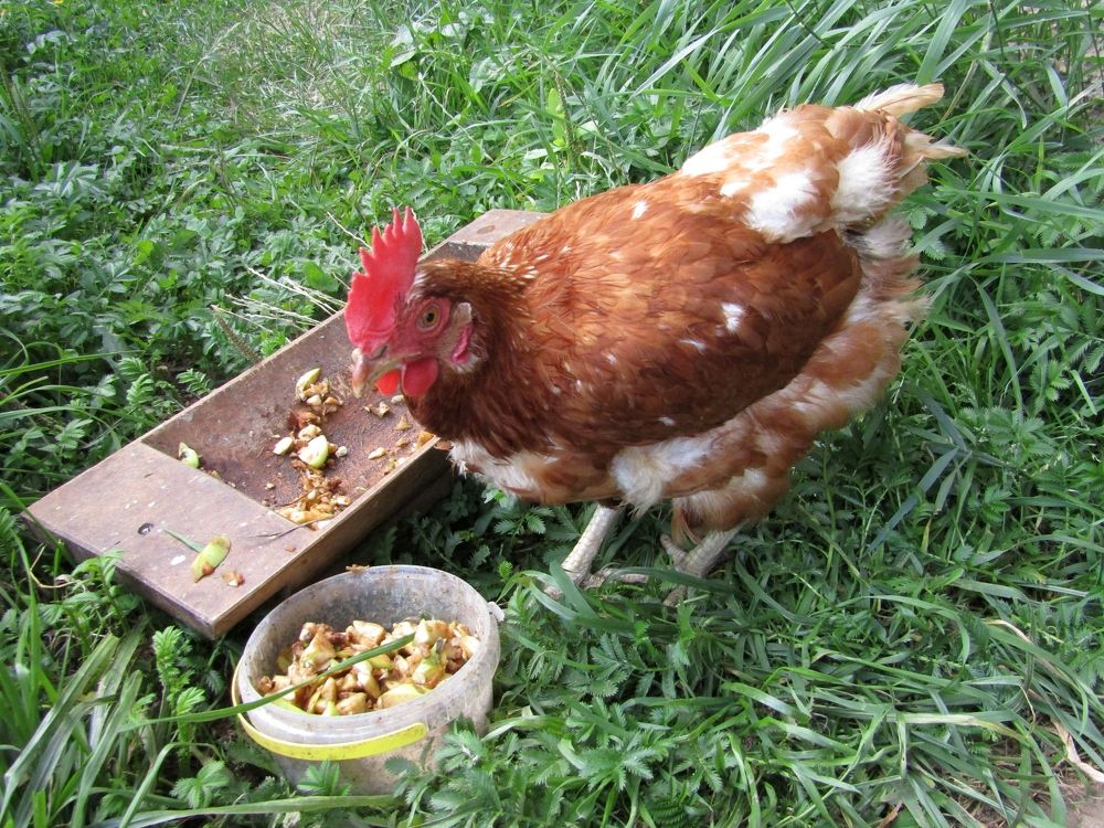 Photograph by Владимир Перминов