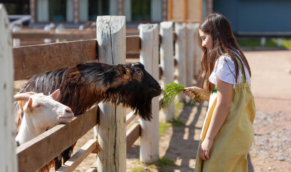 Photograph by Olga Min