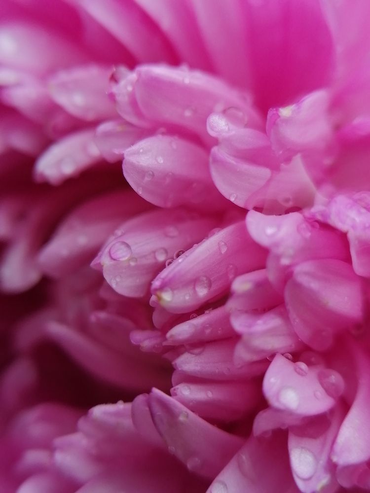 Photograph by Станислав Евсеев