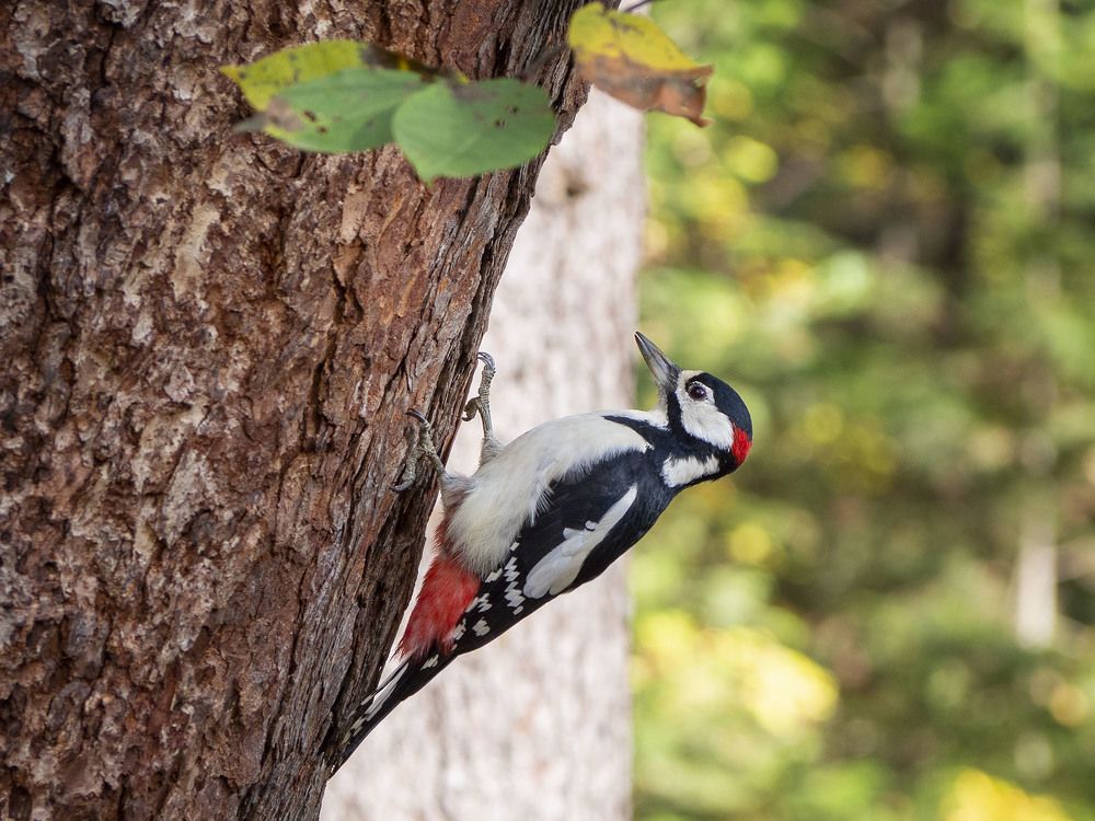 Photograph by Ignatov Yury