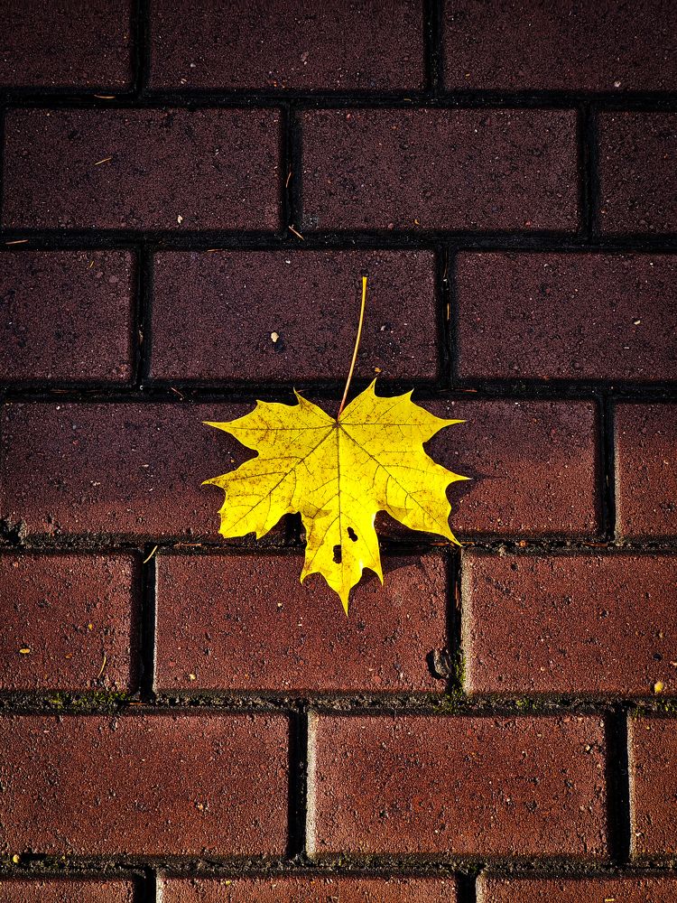 Photograph by Евгений Порсов