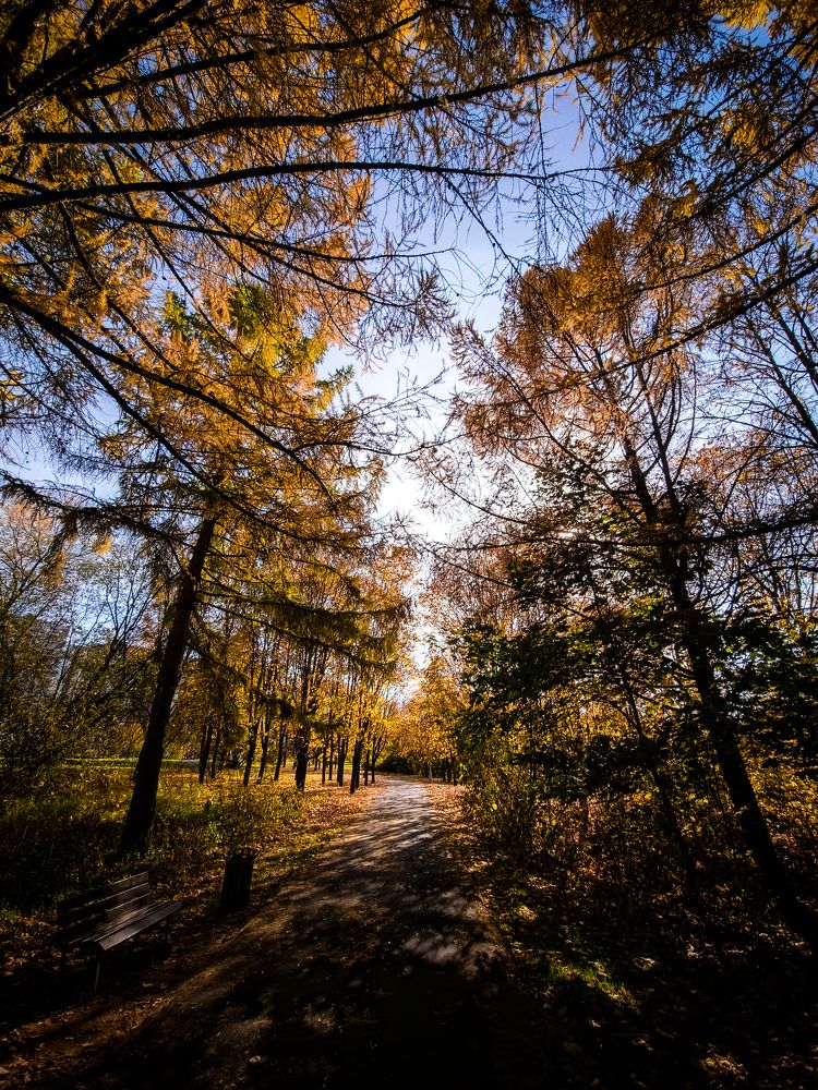 Photograph by Евгений Порсов