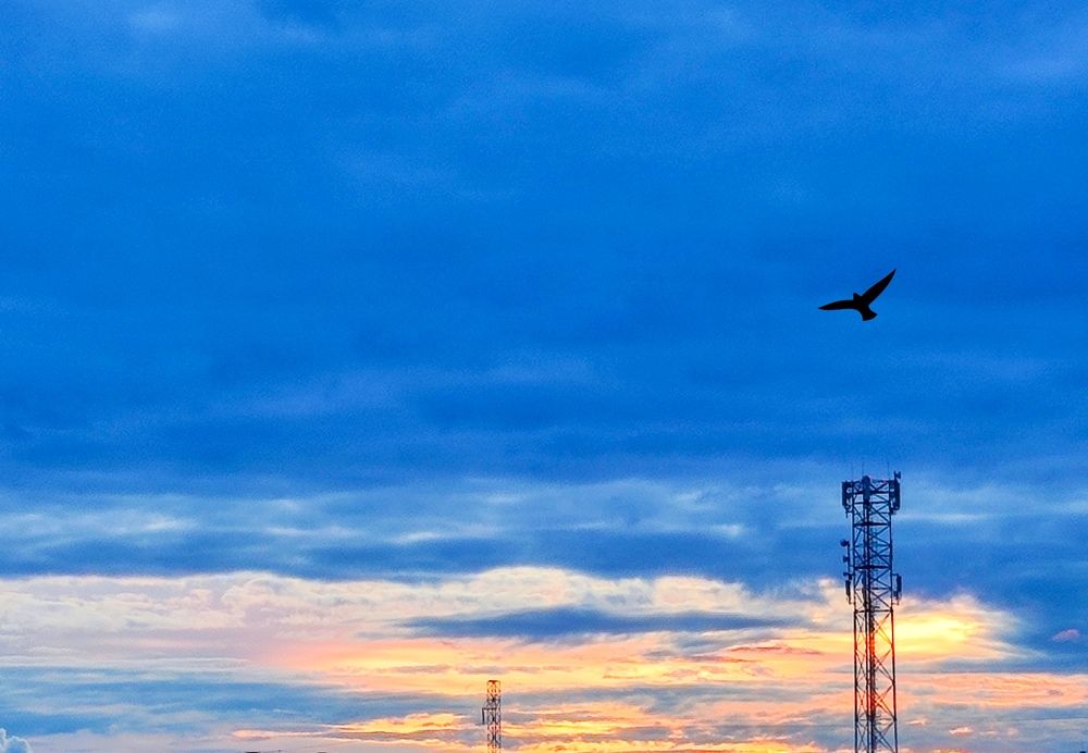 Photograph by Эрика Чечерина