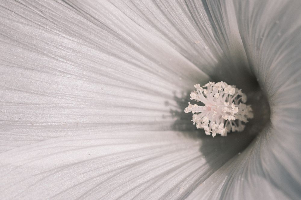 Photograph by Степан Ковыльчик