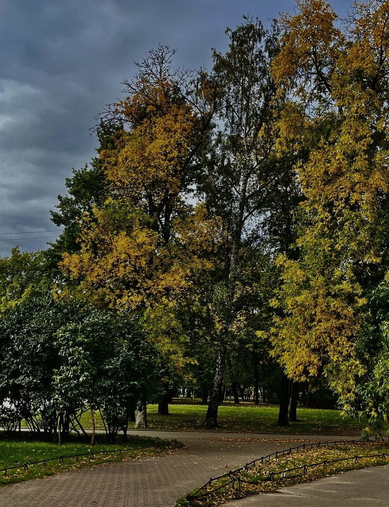 Photograph by Марина Салова