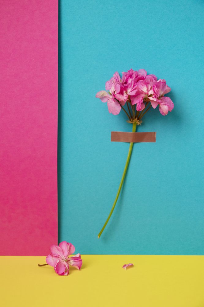 Photograph by Елена Коврижных