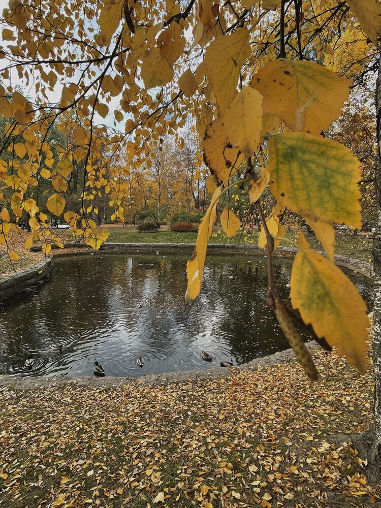 Photograph by Марина Салова