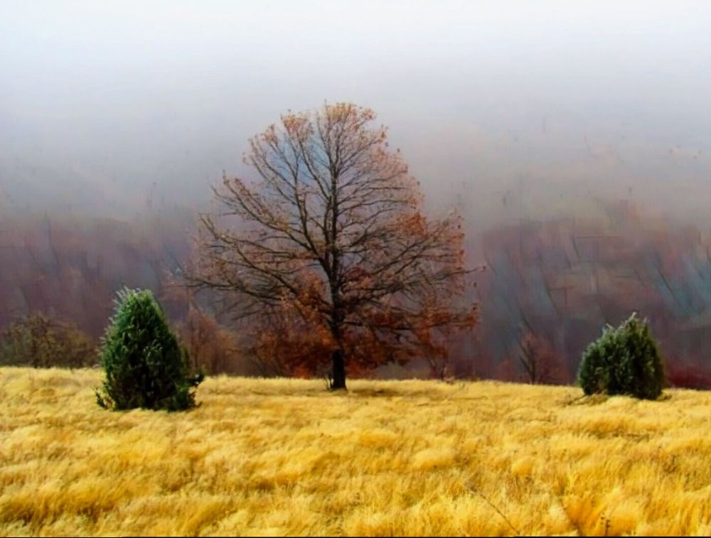 Photograph by Darko Milojevic