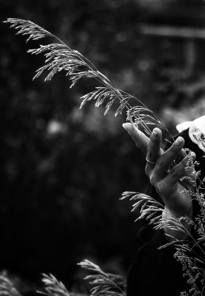 Photograph by Олеся Лагутина