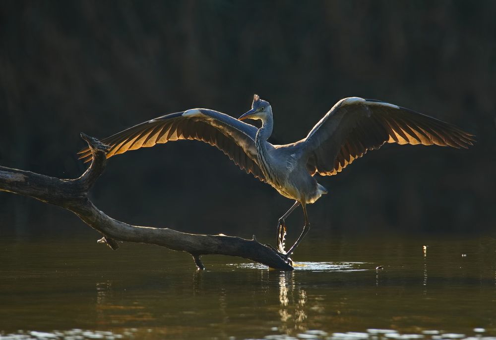 Я иду такая вся...